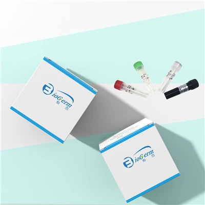 Monkeypox Virus Detection Kit PCR-fluoreszcens szondázás